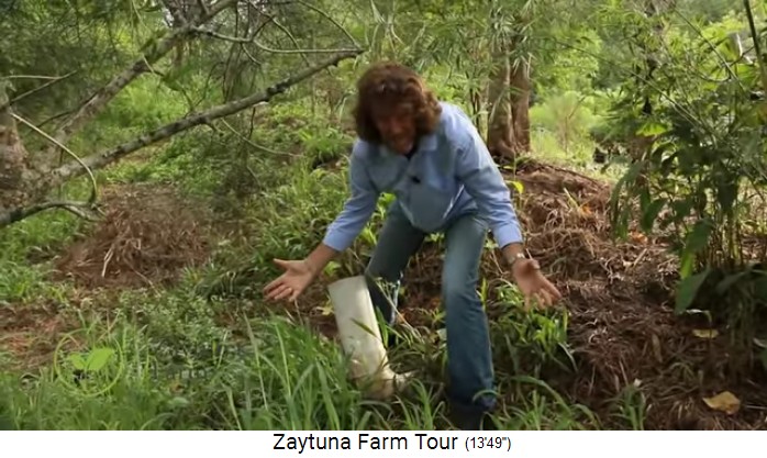 Zaytuna-Farm (Australien), movable
                    spillover 03