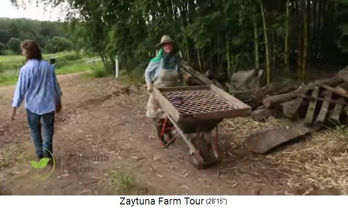 Zaytuna Farm (Australia), plant rack on
                    wheel barrow
