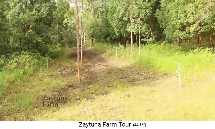 Zaytuna Farm (Australia), electric fence
                    10 volt