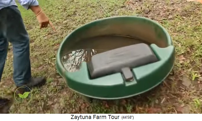 Zaytuna Farm (Australia),
                    plastic tub for water for cattle