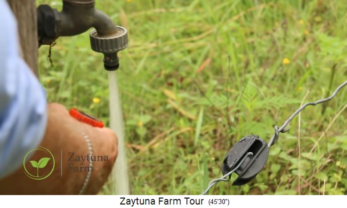 Zaytuna-Farm (Australien), water tap in
                    the field
