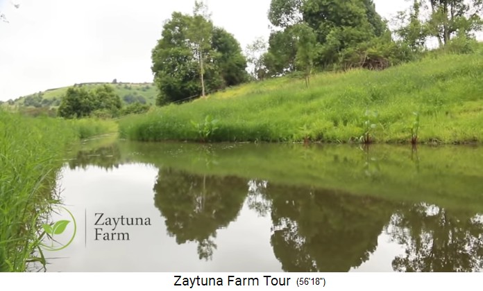 Zaytuna-Farm
                    (Australien), water ditch leading to the forest 03