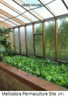 Greenhouse
                        in the house