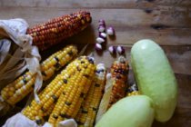 Melliodora,
                        growing corn, beans, and pumpkin "3
                        sisters"