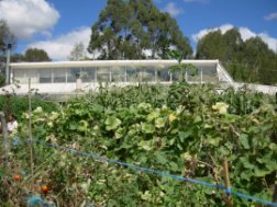 Melliodora, vegetable garden
                    with house in the background
