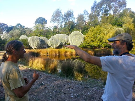 Melliodora, pond and orchard in the
                    background