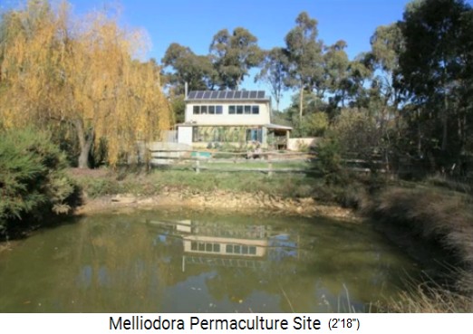 Melliodora 3 weeks
                    volunteering, pond with the off grid house