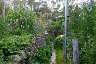 Melliodora, vegetable planting
                    beds, terraces and gravel path