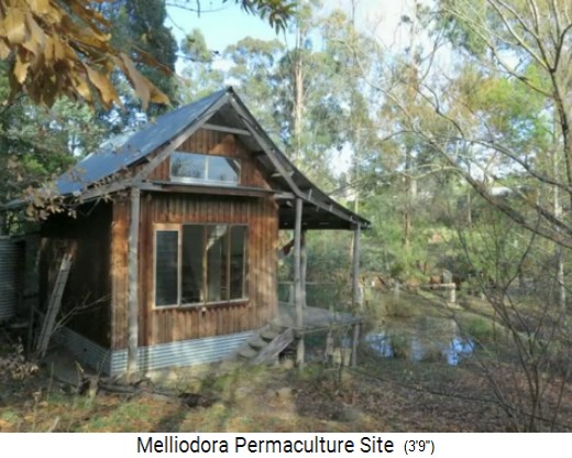 Melliodora 3 weeks volunteering,
                    pond with summer house