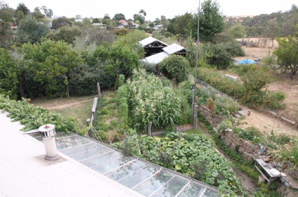 The permaculture garden
                          research plant Melliodora (Melliodora Gardens)
                          by David Holmgren and Su Dennett in Hepburn
                          Springs (Australia)