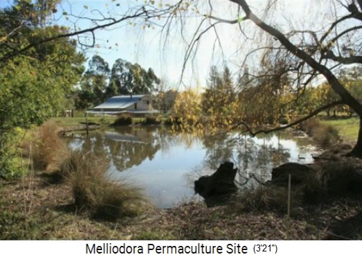 Melliodora 3 weeks
                    volunteering, pond with the off grid house
