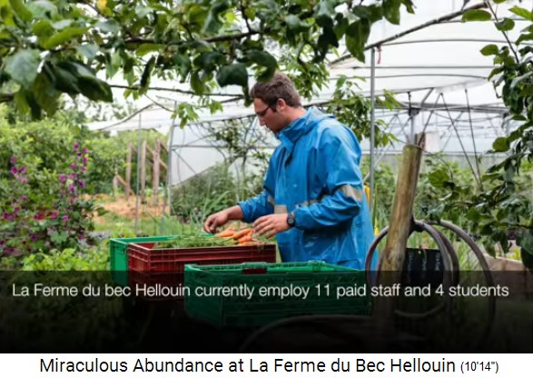 Bauernhof der Familie Herv�-Gruyer in Le
                    Bec-Hellouin: Ein Angestellter sortiert Gem�se 01