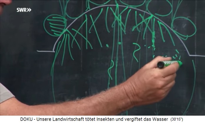 Charles Herv� erkl�rt sein H�gelbeet:
                    Gem�se pflanzen, dazwischen hohe Pflanzen pflanzen,
                    die Wurzeln bleiben im Beet drinnen - und in der
                    Erde wirken gesunde Mikroorganismen, Bakterien,
                    W�rmer usw.