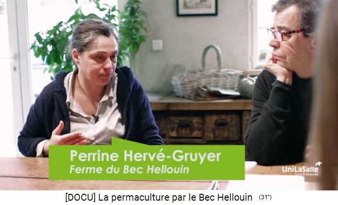 Perrine
                    Herv�-Gruyer