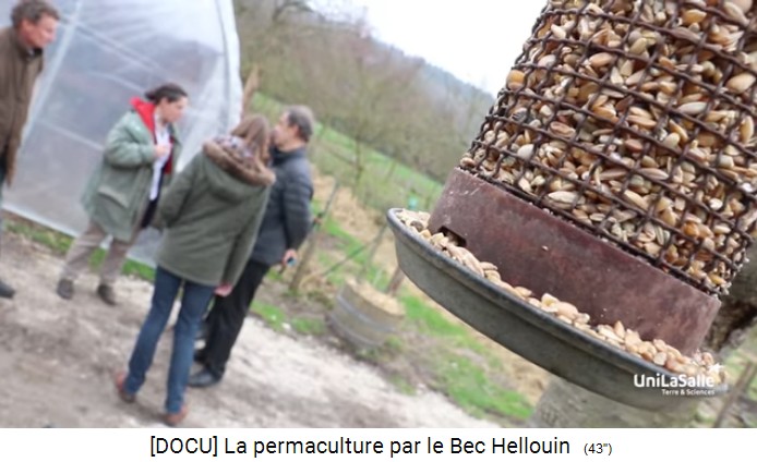 Permakulturzone auf dem Bauernhof der Familie
                    Herv�-Gruyer in Le Bec-Hellouin: Vogelfutters�ule