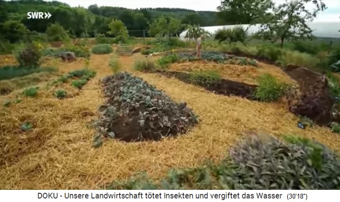 Die H�gelbeete in
                    der Permakulturzone des Hofs in Le Bec (Frankreich)