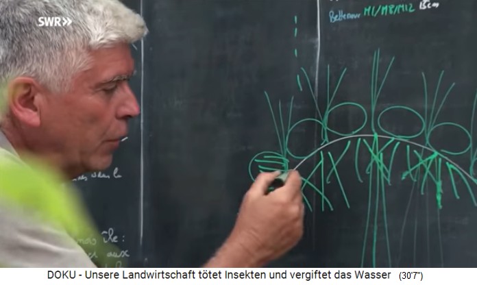 Charles
                    Herv� erkl�rt sein H�gelbeet: Gem�se pflanzen,
                    dazwischen hohe Pflanzen pflanzen - und die Wurzeln
                    bleiben im Beet drinnen