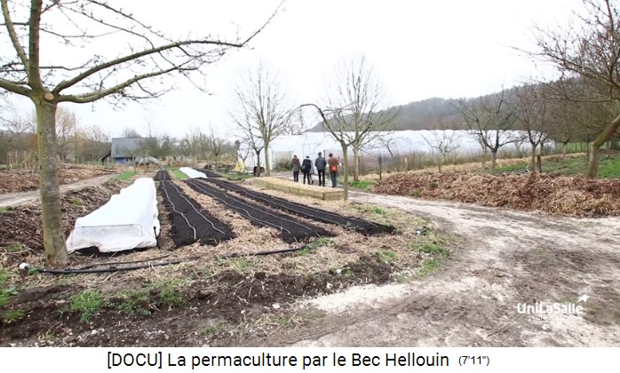 Bauernhof der Familie Herv�-Gruyer in Le
                    Bec-Hellouin: Langfelder und Treibh�user