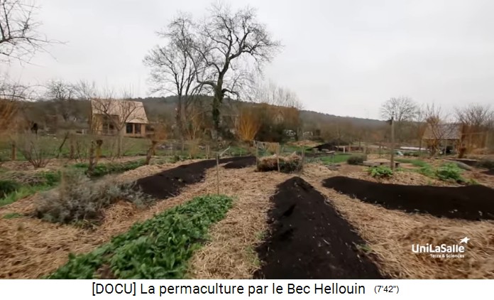 Bauernhof der Familie Herv�-Gruyer in Le
                    Bec-Hellouin: H�gelbeete mit Strohmulchwegen