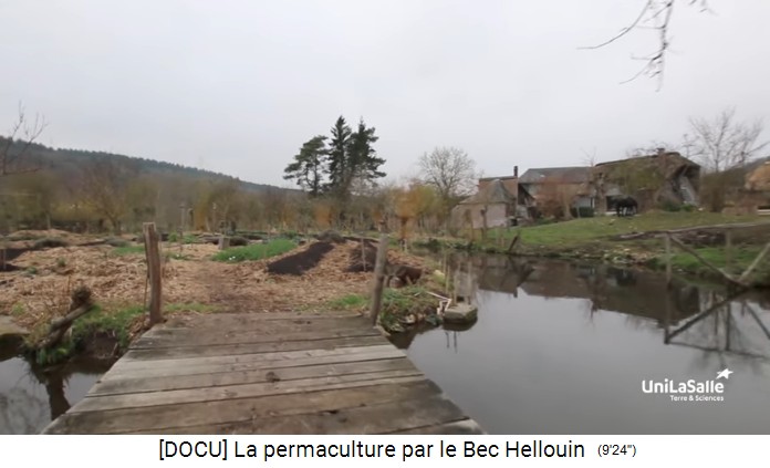 Bauernhof der Familie
                    Herv�-Gruyer in Le Bec-Hellouin: Teich mit
                    H�gelbeeten und Strohmulchwegen