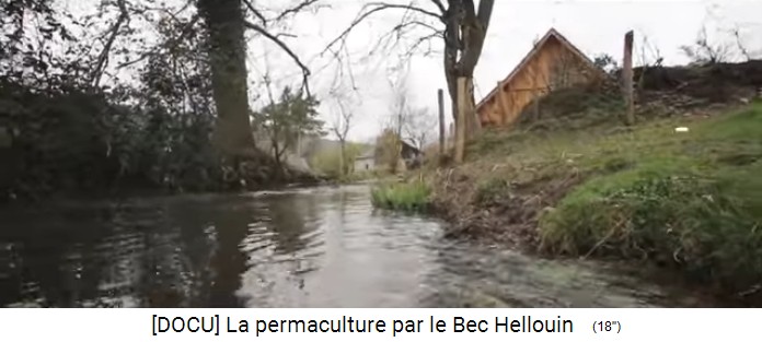 Permakulturzone auf dem
                      Bauernhof der Familie Herv�-Gruyer in Le
                      Bec-Hellouin: der Bec-Bach mit Scheune