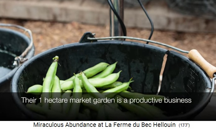 Bauernhof der Familie Herv�-Gruyer in
                    Le Bec-Hellouin: Das Permakultur-Areal umfasst genau
                    1 Hektar