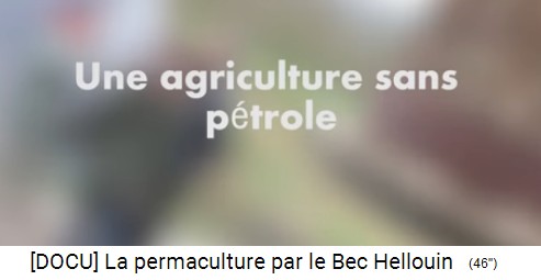 Bauernhof der Familie
                    Herv�-Gruyer in Le Bec-Hellouin: Die Vision ist eine
                    Landwirtschaft ohne Benzinverbrauch