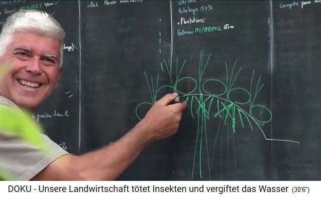 Der
                      Permakultur-Bauernhof im Dorf Le Bec Hellouin in
                      Frankreich, Charles Herv�-Gruyer erkl�rt das
                      H�gelbeet-Prinzip, Schema