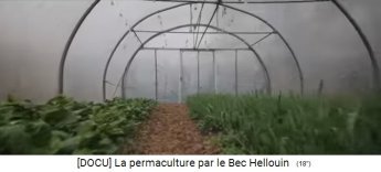 Permakulturzone auf dem Bauernhof der Familie
                    Herv�-Gruyer in Le Bec-Hellouin: Weg mit Laub:
                    Innenansicht des Gew�chshauses mit Strohmulch
