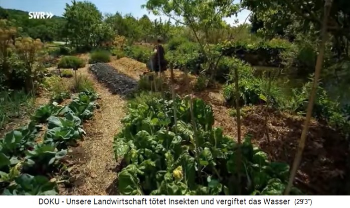 Bauernhof in Le Bec Hellouin
                            (Frankreich) mit 1 Hektar Permakulturzone:
                            H�gelbeete in Kleinfelderwirtschaft