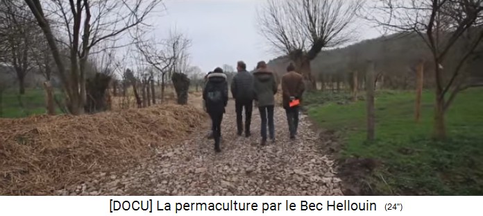 Permakulturzone auf dem Bauernhof der Familie
                    Hervé-Gruyer in Le Bec-Hellouin: Weg mit Laub