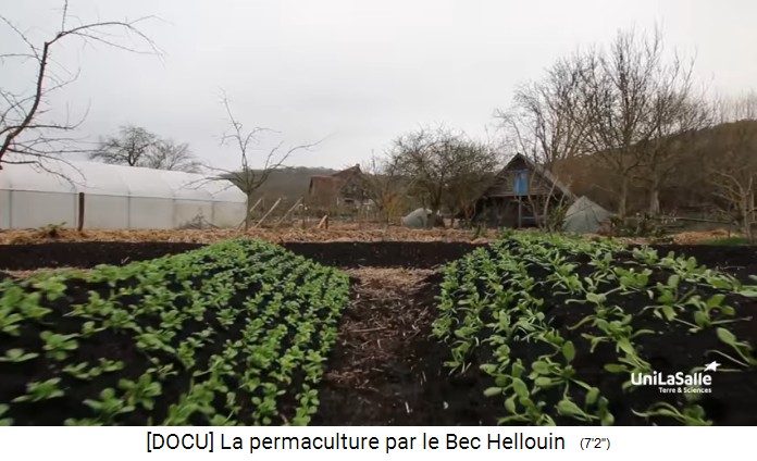 Bauernhof der Familie Hervé-Gruyer
                    in Le Bec-Hellouin: Mandalafeld mit Hügelbeeten mit
                    Setzlingen, ein Treibhaus und Weidenbäume im
                    Hintergrund