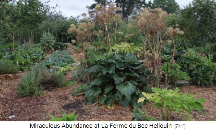Bauernhof der
                    Familie Hervé-Gruyer in Le Bec-Hellouin:
                    Mischkulturen