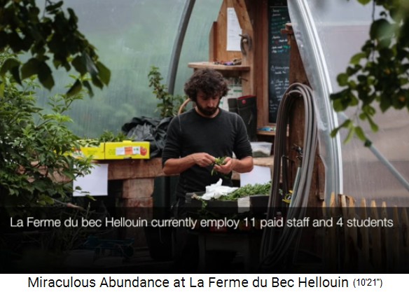 Bauernhof der Familie Hervé-Gruyer in Le
                    Bec-Hellouin: Ein Angestellter sortiert Gemüse 02