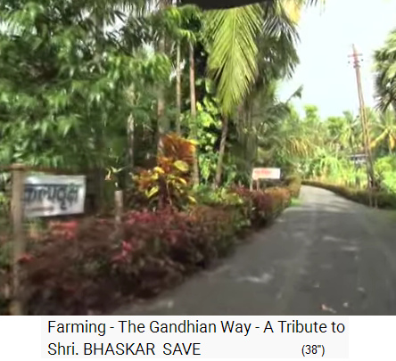 Film1-04: Strasse mit Palmenwald