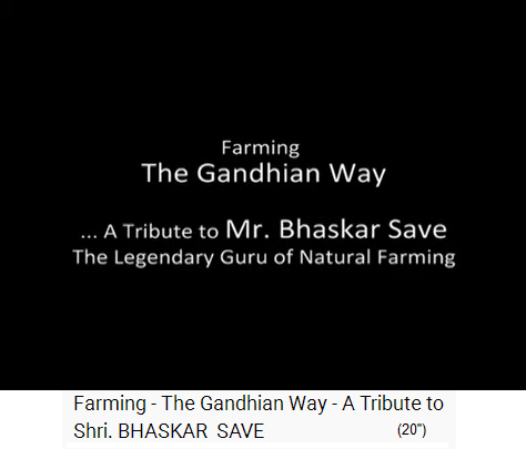 Film 1-01: Filmtitel