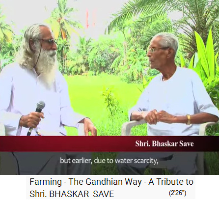 Film 1-12: Bhaskar Save im Intervie 2012ca.