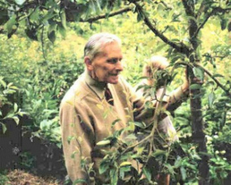 Robert Hart in seinem Obstwaldgarten 1990er Jahre ca.