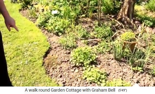 Movie 04: Salads in the orchard of
                      Graham Bel