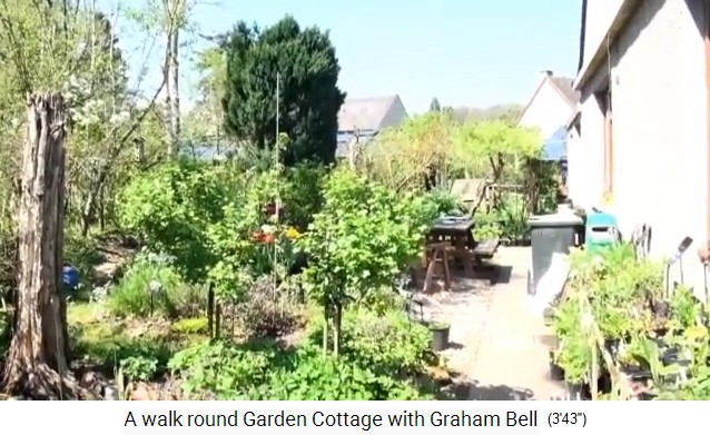 Movie 02: Orchard with view to the terrace