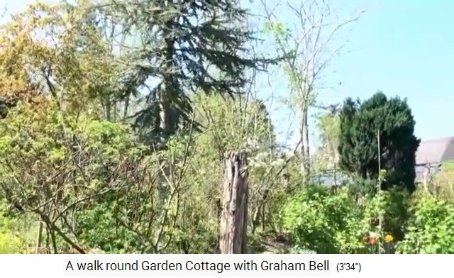 Movie 01: Orchard of
                      Graham Bell, view to the medium heights