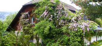 Der Permakultur-Hof
                            von Sepp Holzer am Krameterhof in der Region
                            Salzburg in Österreich - die
                            Alpen-Permakultur mit 72 Teichen am Hang