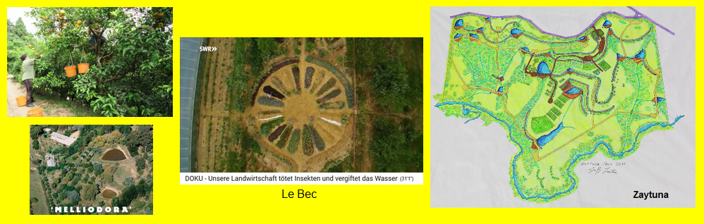 Permakultur-H�fe, Beispiele mit dem
                                Zitrusgarten von Fukuoka in Japan,
                                Melliodora in Australien, Le Bec in
                                Frankreich, und Zaytuna in Australien