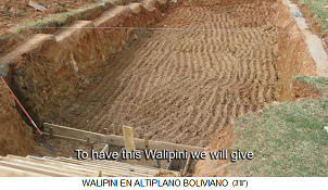 Walipini im Bau, die
                            Grube mit den Wänden, Bolivien