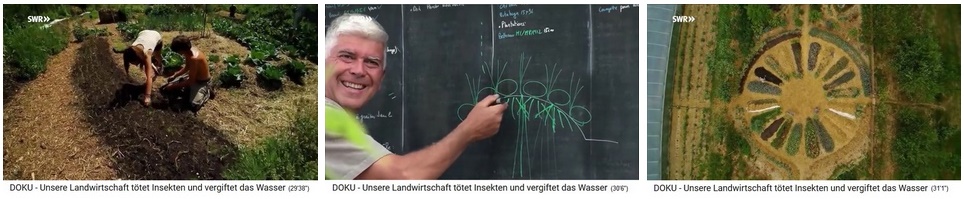 Permaculture farm "Bec
Hellouin" (Normandy), in a hill bed
seedlings are placed 02, general view -
Mr. Charles Herve Gruyer explains the
hill bed, scheme - the hill beds in the
mandala field, aerial photo Permaculture farm "Bec
Hellouin" (Normandy), in a hill bed
seedlings are placed 02, general view -
Mr. Charles Herve Gruyer explains the
hill bed, scheme - the hill beds in the
mandala field, aerial photo