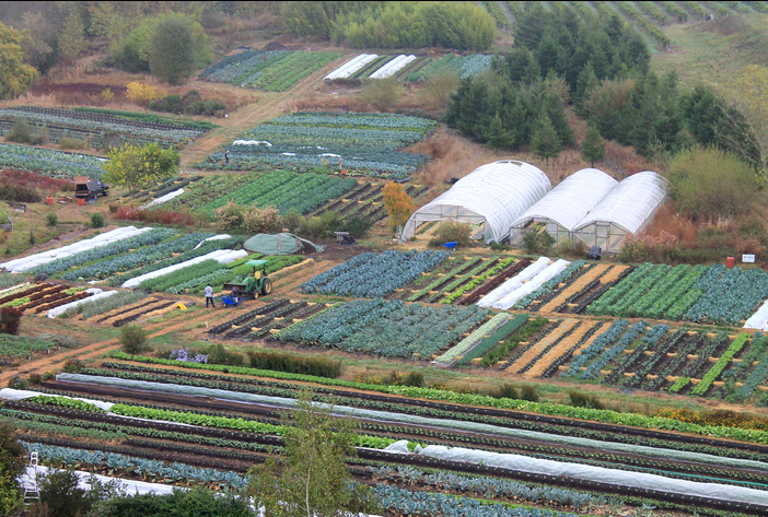 Singing Frogs Farm, aerial view with
                            fields and greenhouses