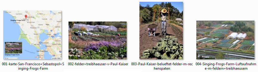 Kleinfeld-Landwirtschaft
                          ohne Pestizide, z.B. die Singing Frogs Farm in
                          Kalifornien