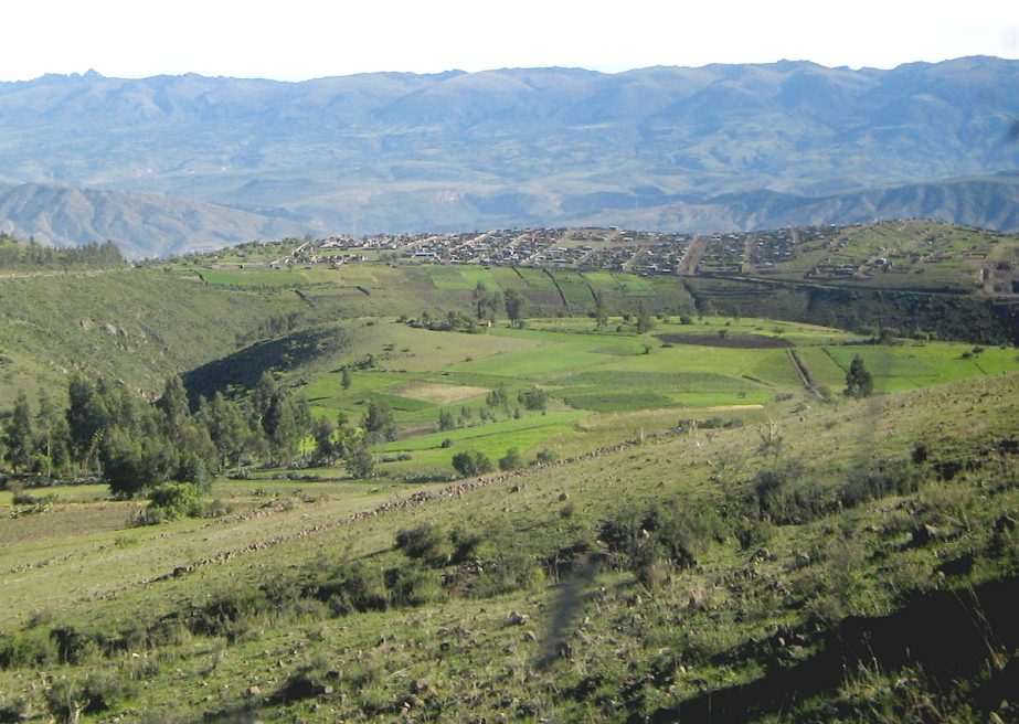 Felder mit Hecken und
                Steinmauern, Sierra �ber Ayacucho in Casaorqo, Peru
