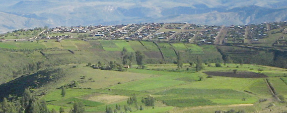 Kleinfeldlandwirtschaft
                      mit Hecken in der Regio Ayacucho, Peru