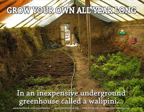 The Walipini is a
                          semi-subterranean greenhouse with geothermal
                          heat, where it never gets below 0 degrees, for
                          year-round fruit and vegetable farming even in
                          cold regions